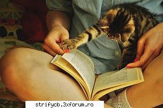 :zzz: avatare dragute!
